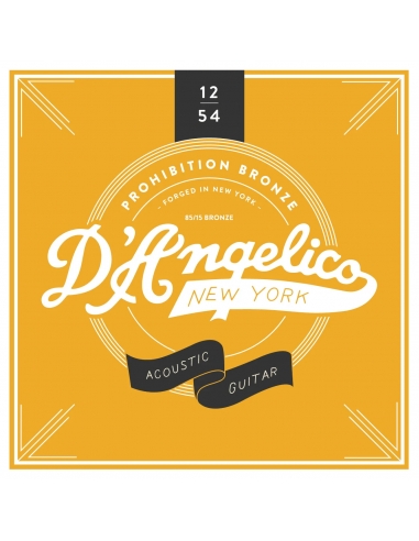 D'ANGELICO ACOUSTIC 12's 12-52