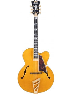D'ANGELICO Excel EXL-1 Amber