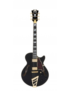 D'ANGELICO Excel SS Solid Black