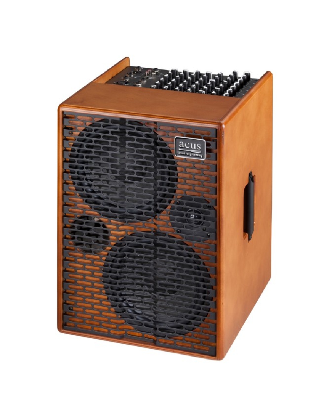ACUS One forstrings AD Wood Ampli électro acoustique 350W