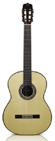  Luthier C10, Crossover SP
