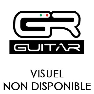GR GUITAR G210A ST Ampli Guitare