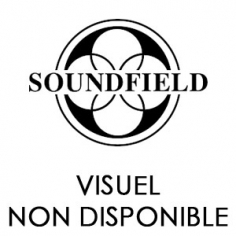 SOUNDFIELD SPS200/RY Kit Windshield