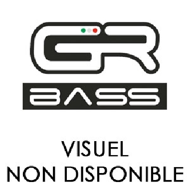 GR BASS Housse pour Combo 210V 350/800